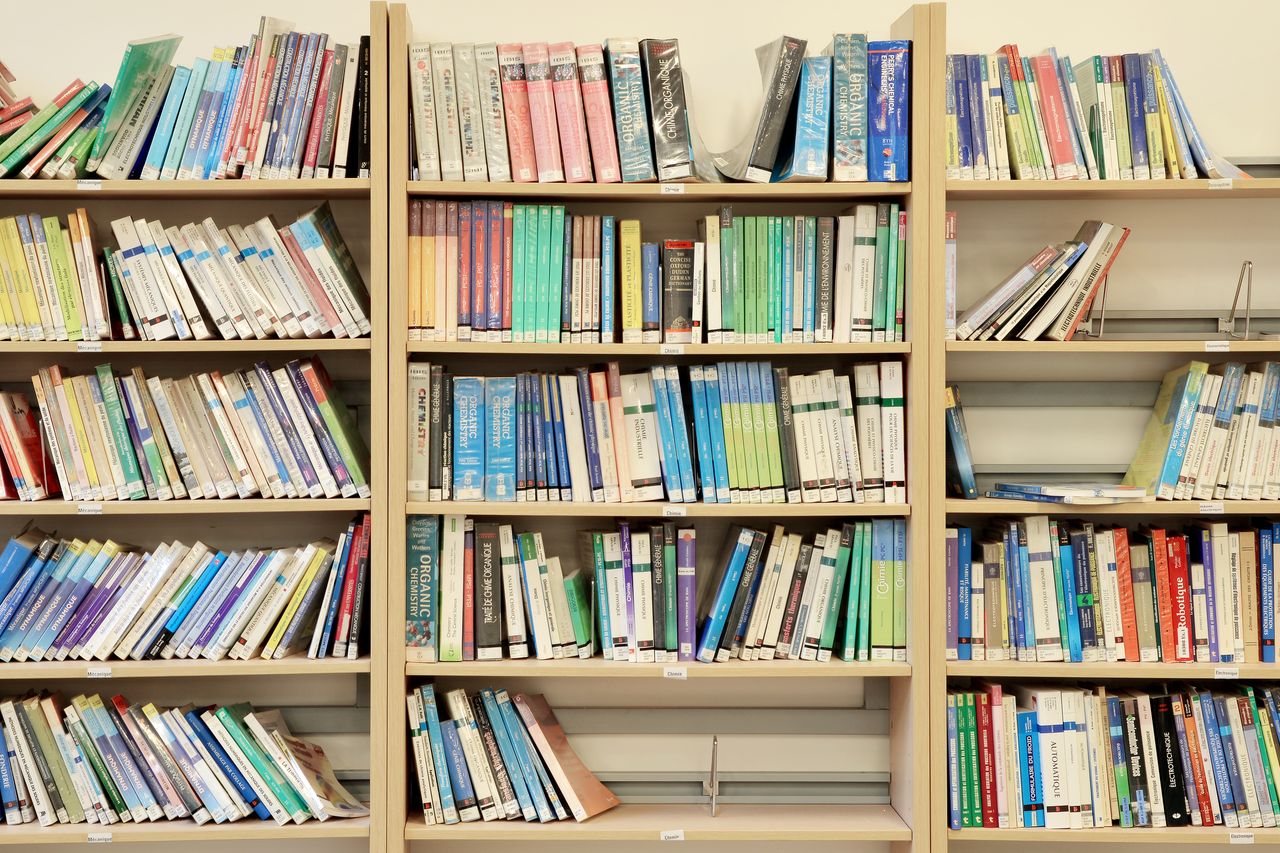 services-03 Vibrant books neatly arranged on library shelves in Fès, Morocco.